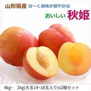 オーガニックすもも加工用10kg ｜ 果物/すもも・プラム 産直アウル