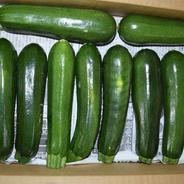訳ありズッキーニ群馬県産（8kg） 8kg 果物や野菜などのお取り寄せ宅配食材通販産地直送アウル