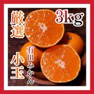 10kg(箱込み) 】 厳選絶品 小玉 有田みかん | 果物/温州みかん 産直