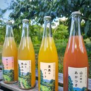 加工用摘果若桃1kg 甘露煮やジャムに 福島のもも あかつき・白鳳・川