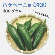 農薬不使用】島トウガラシ青100個 ｜ 野菜/スパイス 産直アウル 農家