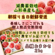 ★朝採り当日発送★美味しさにこだわる★樹上熟成完熟栽培★甘くてジューシーな桃をお届け【品種おまかせコース】 桃 2kg（品種おまかせ） 果物や野菜などのお取り寄せ宅配食材通販産地直送アウル