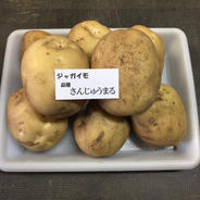 じゃがいも さんじゅう丸2kg 2kg 果物や野菜などのお取り寄せ宅配食材通販産地直送アウル