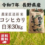 6周年限定】【白米】コシヒカリ 5Kg 送料無料 令和7年 長野県産 新米