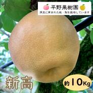 清流球磨梨・新高　約10Kg【5kg箱(5〜14個入り)を2箱重ねてお届け】 約10Kg 果物や野菜などのお取り寄せ宅配食材通販産地直送アウル