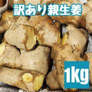 高知県産 土付き囲い生姜1キロ ｜ 野菜/薬味 産直アウル 農家・漁師