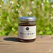 熊本県産】地蜂蜜 非加熱・無添加高濃度日本みつばち蜂蜜500g x 4