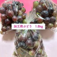 生食OK！加工用ぶどう ぶどう1.8kg(600g×3袋) 果物や野菜などのお取り寄せ宅配食材通販産地直送アウル