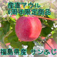 🍎【訳あり】サンふじ：ご家庭用に | 果物/りんご 産直アウル 農家から