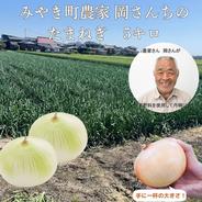 佐賀県みやき町農家 岡さんちのたまねぎ10キロ ｜ 野菜/玉ねぎ 産直