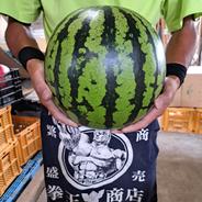 山形県産　すいか　羅皇ザ・スウィート　2Lサイズ　家庭用 スイカ　2Lサイズ　6.8～8㎏ 1玉 果物や野菜などのお取り寄せ宅配食材通販産地直送アウル