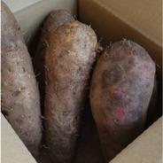 【訳アリ】つくね芋・紫つくね芋の食べ比べセット♪ 2kg 訳アリ 2㎏(つくね芋1kg　紫つくね芋1kg) 果物や野菜などのお取り寄せ宅配食材通販産地直送アウル