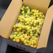 直ぐ発送：柑橘のような爽やかさ！コトピー(2～3房、約1kg)長野県認証
