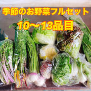 厳選！のぐちファーム季節の野菜セット 100サイズ 果物や野菜などのお取り寄せ宅配食材通販産地直送アウル