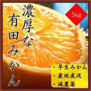 みかん 5kg 有田みかん 小粒 小さい 減農薬 産地直送 和歌山 5㎏ 果物や野菜などのお取り寄せ宅配食材通販産地直送アウル