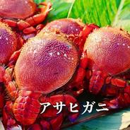 【３㎏】大～超特大　生冷凍アサヒガニ ３㎏　５匹～８匹 果物や野菜などのお取り寄せ宅配食材通販産地直送アウル