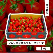 送料込み【特別栽培農産物】ソムリエミニトマト ダイヤ1kg（75玉から