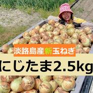 ◎送料込み◎農家直送!!【みずみずしくシャキッと甘い！】淡路島産ブランド新玉ねぎ 『にじたま』極早生 一級品 2.5kg（ご家庭用・8個前後） 使いやすいM・L・2L混在！ 2.5kg（約8個前後） 果物や野菜などのお取り寄せ宅配食材通販産地直送アウル