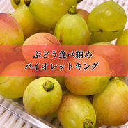 山形県産青梅♡白加賀梅♡1.2キロお試しサイズ♡ ｜ 果物/青梅 産直