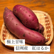 定番の極上甘味！　信州産 紅はるか さつまいも 5キロ　訳あり品！数量限定！ 紅はるか訳あり品5キロ 果物や野菜などのお取り寄せ宅配食材通販産地直送アウル