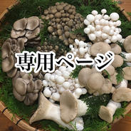 【専用】きのこのおしり2セット 果物や野菜などのお取り寄せ宅配食材通販産地直送アウル
