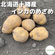 【酵素栽培】北海道十勝産インカのめざめ　4kg 4kg 果物や野菜などのお取り寄せ宅配食材通販産地直送アウル
