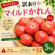 ミニトマト 品種おまかせ 2キロ箱詰 ｜ 野菜/トマト 産直アウル 農家