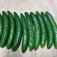曲がったきゅうり20本☆規格外 | 野菜/きゅうり 産直アウル 農家から