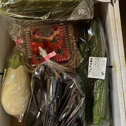 初夏の小さなおまかせ野菜セット 2kg以下 果物や野菜などのお取り寄せ宅配食材通販産地直送アウル