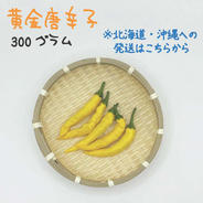 和歌山県産】激辛！韓国種 赤唐辛子 10kg ｜ 野菜/スパイス 産直アウル