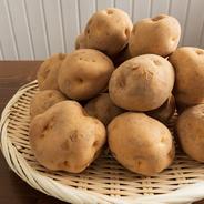 ホックホク！　北海道ニセコ町産じゃがいも(男爵)  20kg 約20kg 果物や野菜などのお取り寄せ宅配食材通販産地直送アウル