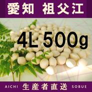 2026年新物！ 愛知県 祖父江産 藤九郎 銀杏 ぎんなん 3L 2kg ☆秋の