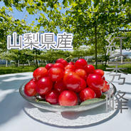 さくらんぼ『紅秀峰』500g 500g 果物や野菜などのお取り寄せ宅配食材通販産地直送アウル