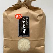 新米令和8年産 福井県産こしひかり2kg ｜ 米・穀物/米/精米 産直