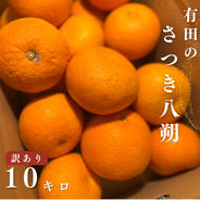 10キロ　木成り完熟　特選わけあり有田みかん⭐︎小玉が大半です 樹成り完熟 有田みかん 宮喜園限定 約10kg 和歌山県産 訳あり品 農園