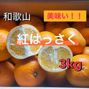 完熟　紅八朔　旨味が増し増し　酸味少ない　3kg 3kg 果物や野菜などのお取り寄せ宅配食材通販産地直送アウル