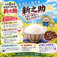 わたあめとうもろこし( ´ ▽ ` ) 8本 ｜ 野菜/とうもろこし 産直