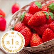 ジュワ旨っ🍓栃木県真岡市のとちあいか 1kgセット 1kg:4ケース（とちあいか） 果物や野菜などのお取り寄せ宅配食材通販産地直送アウル