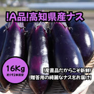 感動✨高知なす なすび記念日 ｜ 野菜/茄子 産直アウル 農家・漁師など