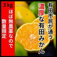 濃くて甘くて安心で安い！有田みかん 極早生 3kg 少農薬 3kg 果物や野菜などのお取り寄せ宅配食材通販産地直送アウル