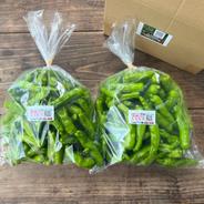 ☆有機JAS認証☆朝採れ新鮮！ししとう1.2㎏ ししとう1.2㎏ 果物や野菜などのお取り寄せ宅配食材通販産地直送アウル
