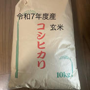 名水極味米 7年産在来コシヒカリ 発芽する元気な玄米10kg 特別栽培1