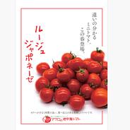 ルージュジャポネーゼ　カラーミニトマト　700g 700g 果物や野菜などのお取り寄せ宅配食材通販産地直送アウル