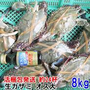 活ワタリガニ オス大 8ｋｇ（約24杯）【水揚げ好調のため20％OFF中】渡り蟹 ガザミ 梭子蟹 ケジャンにも！活発送  カンナ屑梱包 活到着補償販売ではございません がざみ 蟹通販 生蟹 生カニ 活カニ 活蟹 ケジャン 漁師直送 宮城県産 国産 松島牡蠣屋 梭子蟹 雄雌 8kg 果物や野菜などのお取り寄せ宅配食材通販産地直送アウル