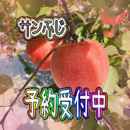 🍎【訳あり】サンふじ：ご家庭用に ｜ 果物/りんご 産直アウル 農家