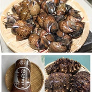 新鮮とれたて！黒バイ貝2kg赤ナマコ2kgセット　生きたまま発送します！ バイ貝2kg・赤ナマコ2kg 果物や野菜などのお取り寄せ宅配食材通販産地直送アウル