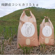 飛騨産 コシヒカリ 5キロ 5kg 果物や野菜などのお取り寄せ宅配食材通販産地直送アウル
