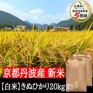 新米【玄米】特別栽培米こしひかり 20kg 令和8年産 節減対象農薬6割減