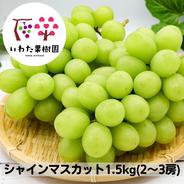 シャインマスカット約1.5キロ シャインマスカット2〜3房 果物や野菜などのお取り寄せ宅配食材通販産地直送アウル