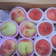 山形県産 川中島白桃、黄金桃 大玉 5kg ｜ 果物/もも 産直アウル 農家